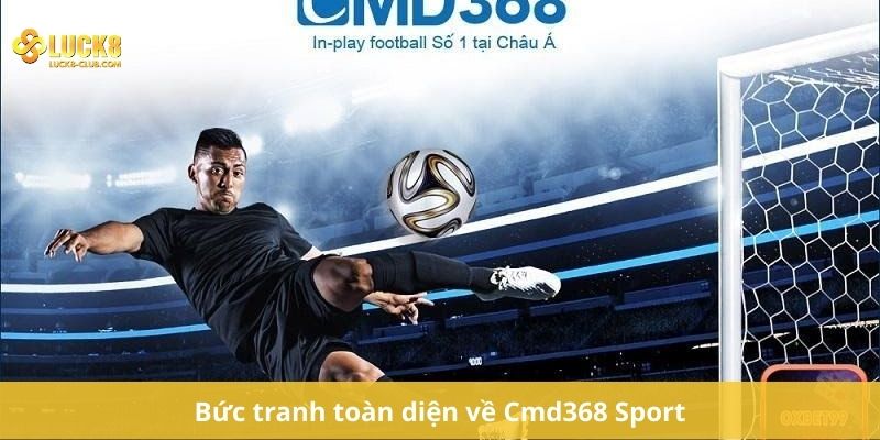 Bức tranh toàn diện về Cmd368 Sport