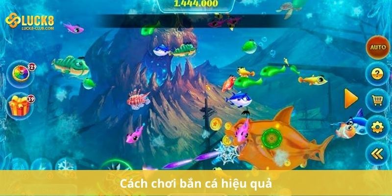 Cách chơi bắn cá hiệu quả